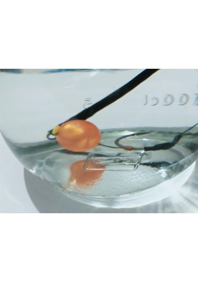 5 Adet Yaylı 14 Mm Efsane Janjan Sarı Boncuklu Sazan Rig Takımı
