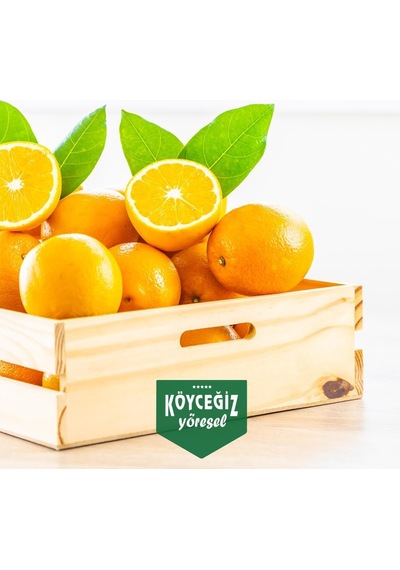 Kb Köyceğiz Yöresel Köyceğiz Portakalı 8 KG