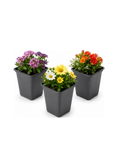 Kare Üretim Saksısı 500 Adet - Vakum Saksı 7x7 Cm