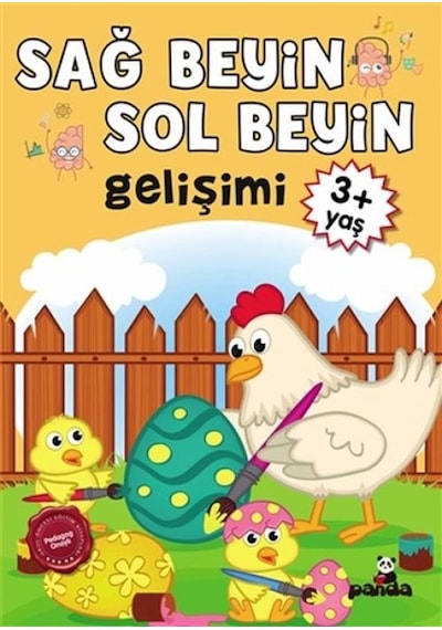 3 Yaş Sağ Beyin-sol Beyin Gelişimi - Grsy-634984