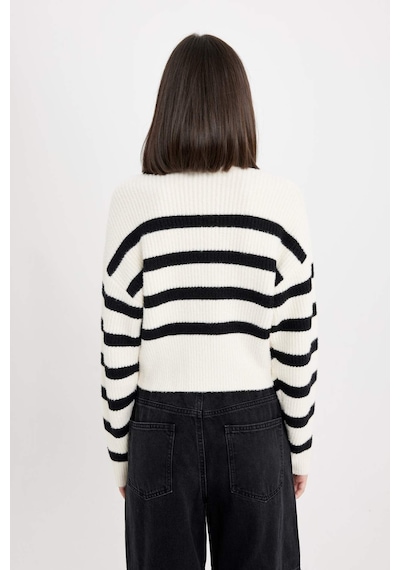 DeFacto Regular Fit Çizgili Bisiklet Yaka Triko Kazak	 R1285AZ24CWBK27