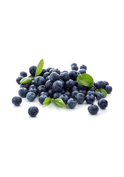 Yaban Mersini Tohumu Blueberry Tohumu Ekim Seti 10 Adet Tohum + Saksı + Toprak