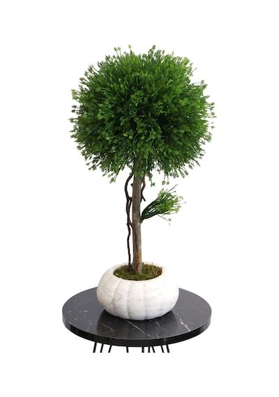Yapay Çiçek Deposu Dekoratif Lüx Top Ağaç Çam Model 35x60 Cm Koyu Yeşil