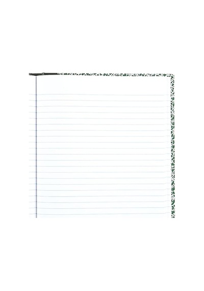 National 53010 Lab Notebook, Legal Rule, 10 1/8 X 7 7/8, Beyaz, 96 Yaprak