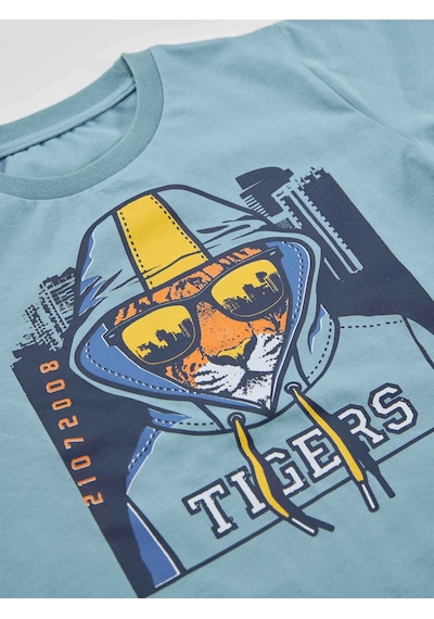 Denokids Mshb&g Tigers Erkek Çocuk T-shirt Şort Takım Çok Renkli