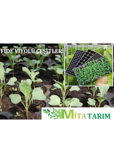Fide Viyolü,9 Adet, 104 Göz Fide Viyol, Tohum Yetiştirme Viyolü