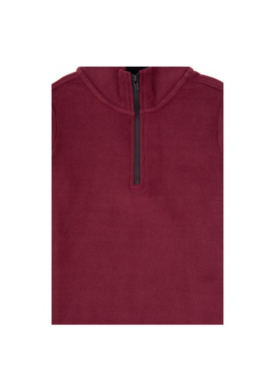 U.s. Polo Assn. Erkek Çocuk Plum Sweatshirt 50313841-vr177 New Plum
