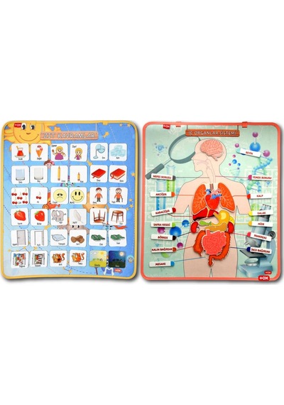 2 Set - 62 Parça Tox Iç Organlar ve Zıt Kavramlar Keçe Cırtlı Duv