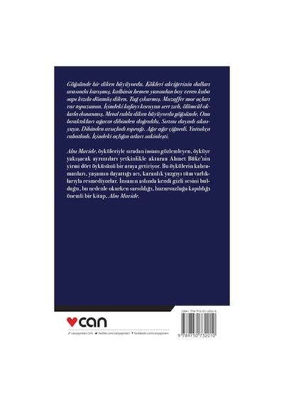 Alnı Mavide - Ahmet Büke - Can Yayınları