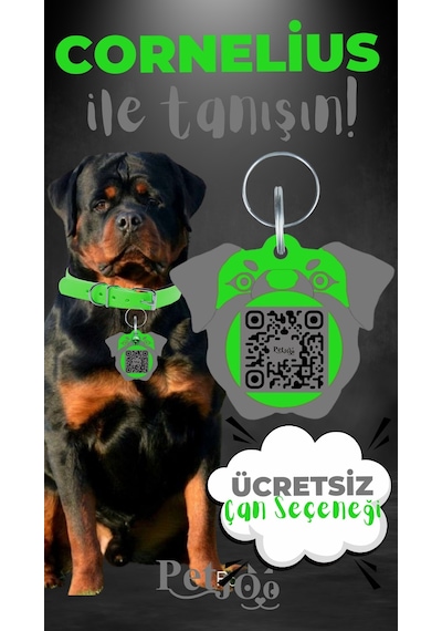 Petjoo 20.Cornelius Gri-Yeşil Qr'lı Köpek Künyesi