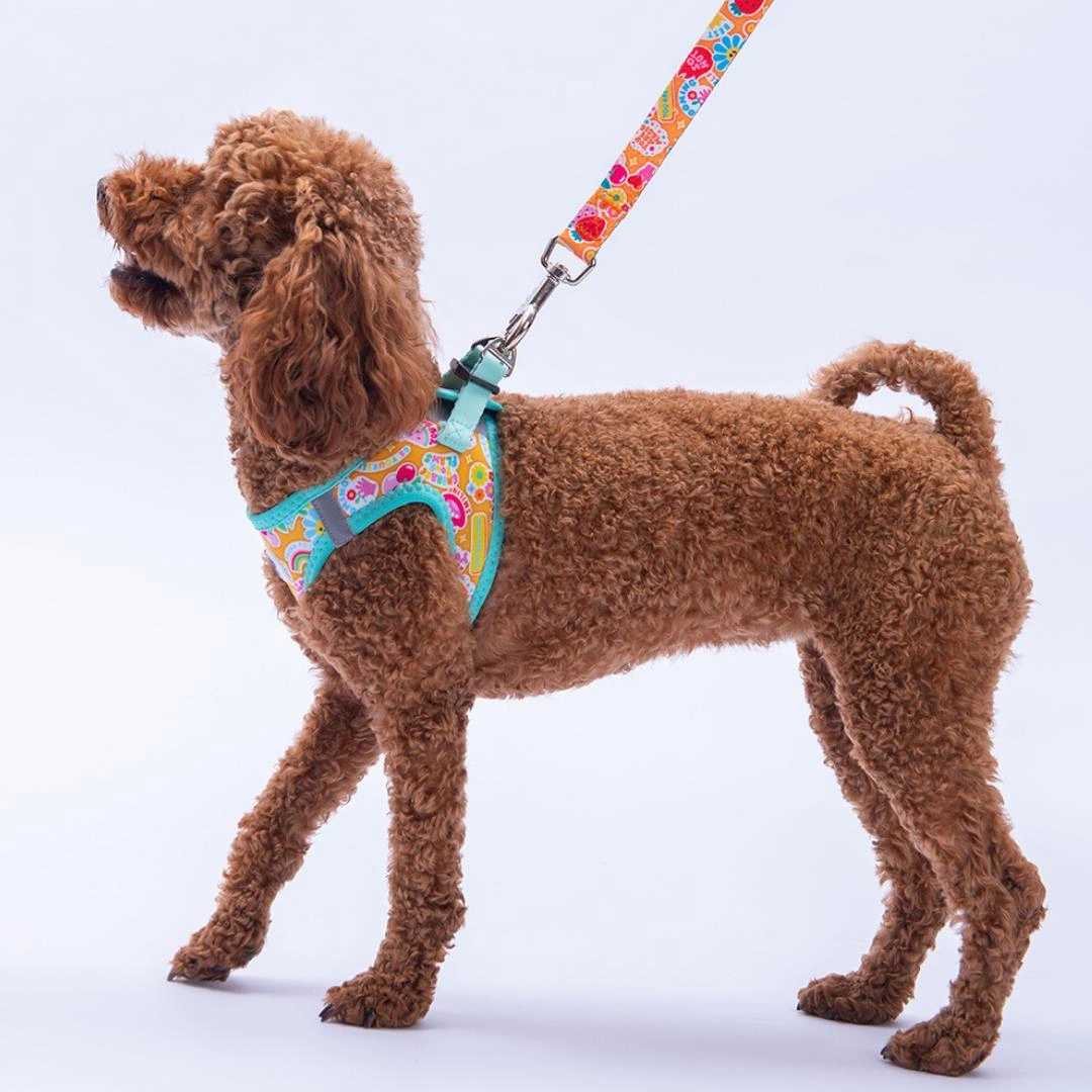 Pixsy Pals Göğüs Tasması Ve Sevk Kayışı Tasma Seti Emojili Kedi Köpek Göğüs Tasması Seti M Mint