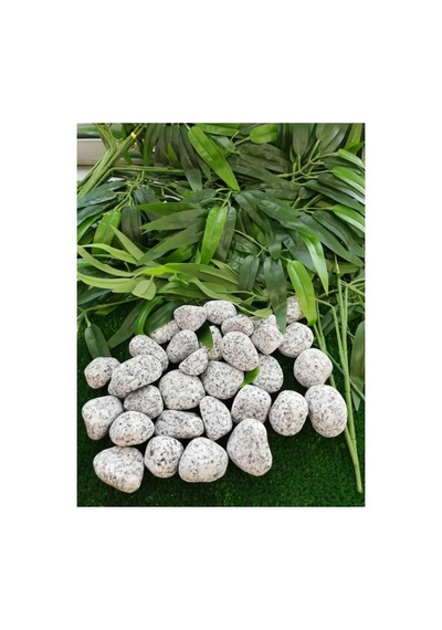 Ekodoğa Granit Dolomit Taş 25 Kg 2 5 4 Cm Siyah Beyaz Dekoratif Bahçe Taşı Dekor Sku: Smgstk44404cc5b2