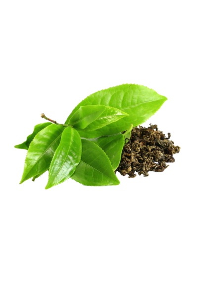 Daye Hatun Yeşil Çay Sirkesi/Green Tea Vinegar 500 ML