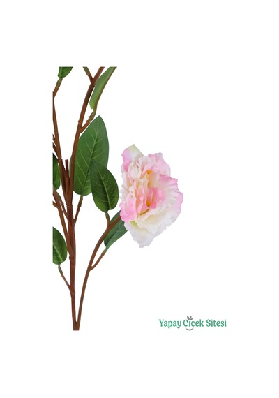 Yapay Çiçek Sitesi Yapay Lisyantus Dalı 70cm Krem Pembe