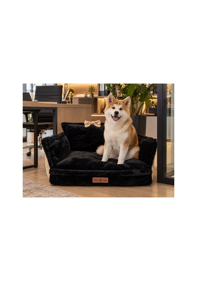 Peluş Fiyonklu Kedi Ve Köpek Koltuğu Tamamen Fermuarlı Çıkarılabilir İç Minder Boncuk Elyaf Kaydırmaz Taban Kedi Ve Köpek Yatağı Siyah Peluş Sarı 1715024349 Peluş Fiyonklu Kedi Ve Köpek Koltuğu Tamamen Fermuarlı Çıkarılabilir İç Minder Boncuk Elyaf Kaydırmaz Taban Kedi Ve Köpek Yatağı Siyah Peluş Sarı 1715024349