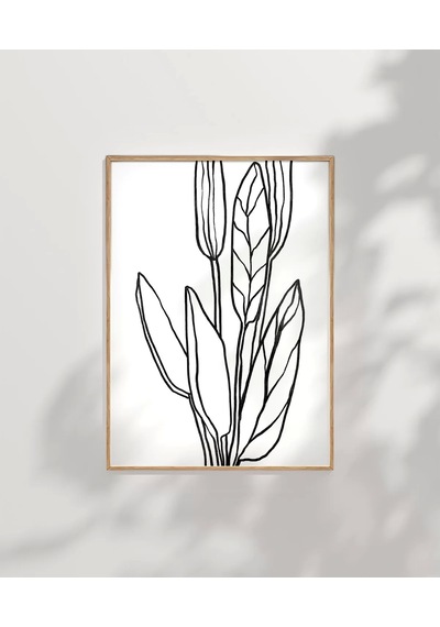 Çerçevesiz Poster Soyut Bitki Formları Grafik Sanat