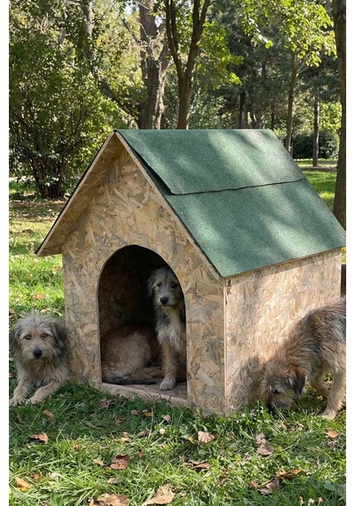 Reyo Köpek Kulübesi Büyük Boy Osb Xl Yeşil Çatılı 100x100x78 Cm Mld0dog08