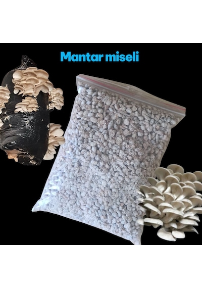1 Kg İstiridye Mantarı Tohumu Ekim Poşeti, Kireç, Alçı Ve Buğday Kepeği- Full Paket 1 Adet
