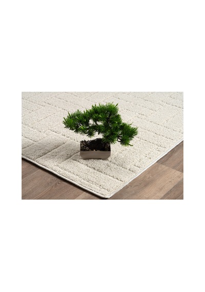 Raschel Carpet Kaymaz Taban Moopy Krem Bukleli Yumuşak Soft Dokuma Yolluk Halı Salon Halısı Lp1001a Krem Krem