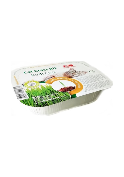Bio Petactive Cat Grass Kit Fileli Doğal Kedi Çimi Kiti