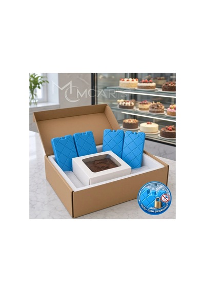 4'lü Kilitli Buz Aküsü Seti - Dondurucu Buz Kasedi Ice Box Soğutucu Blok Mavi Beyaz