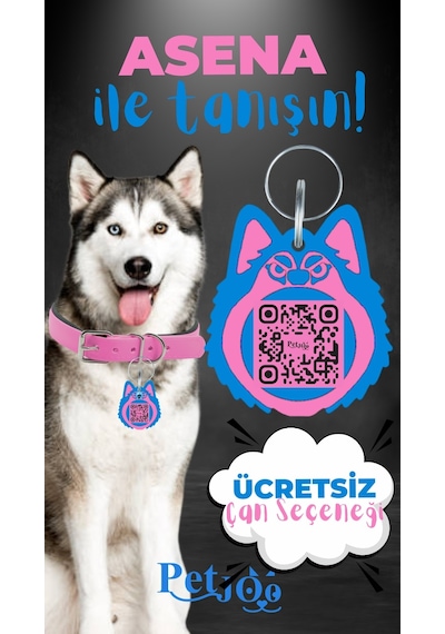 Petjoo 25.Asena Mavi-Pembe Qr'lı Köpek Künyesi