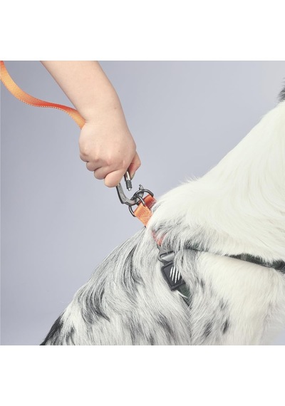 M-pets Wıld Jungle Harness S Çok Renkli