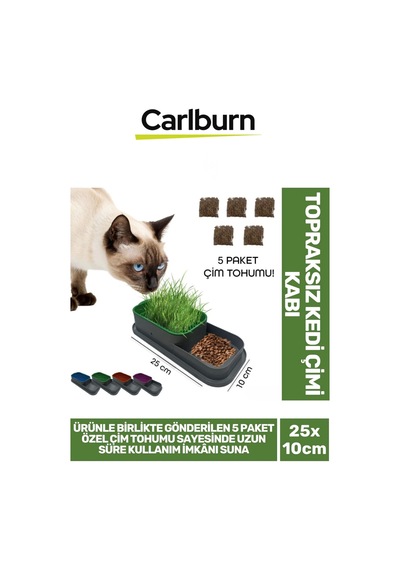 Özel Üretim 5 Adet Kedi Çimi Tohumu Topraksız Kedi Çimi Kabı 25x10cm