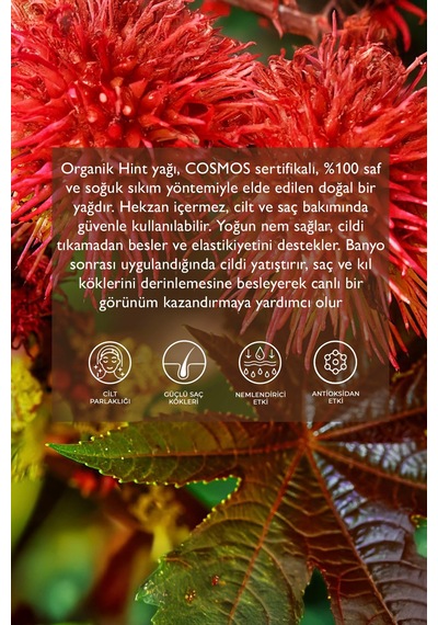Organik Hint Yağı