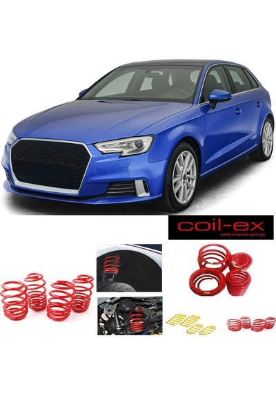 Audi A3 2017-2020 8v Coil-ex 4.5 Cm Helezon Spor Yay