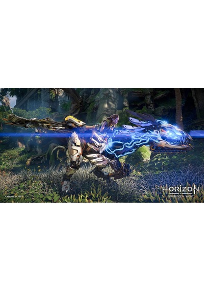 Horizon Forbidden West Ps5