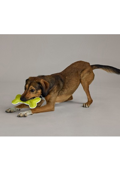 Köpekler İçin Oyuncak, Kemik