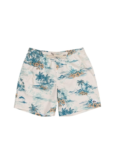 Quiksilver Eqyjv04063 Longmanhill Volley Erkek Şort Mayo 001