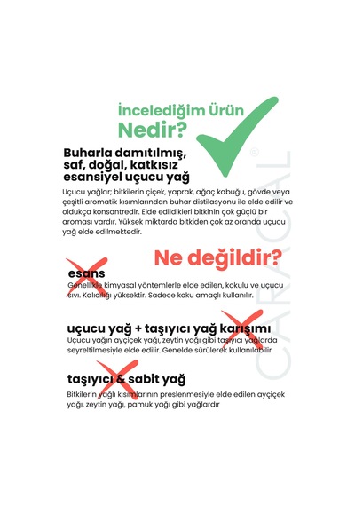 Caracal Çam Terebentin Yağı 50 Ml %100 Saf Doğal Katkısız