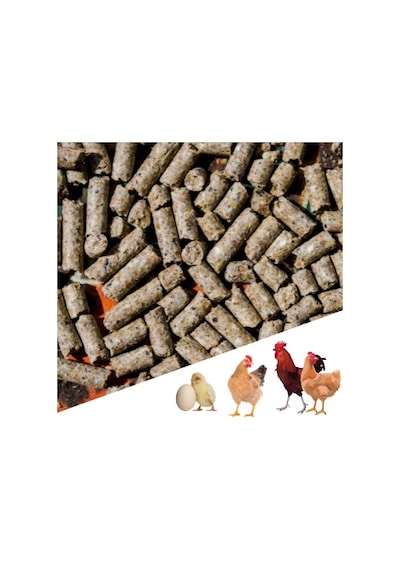Narım 10 Kg Pelet Proteinli Özel Tavuk Besi Yumurta  Yemi