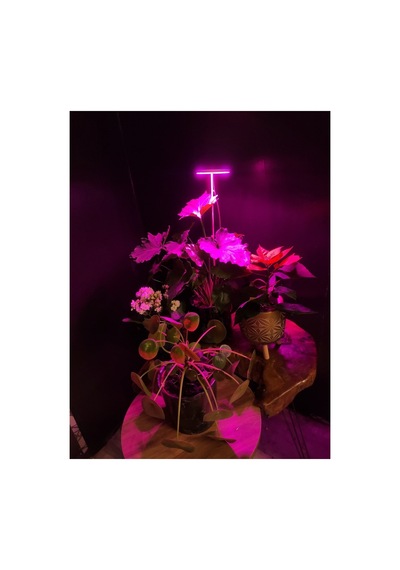 Bitki Led Lamba 5v Usb Tam Spektrumlu Bitki Yetiştirme - Geliştirme Led Aydınlatma - Fullspectrum 8w