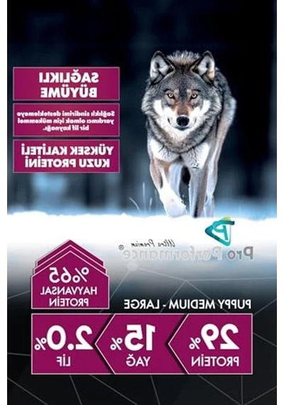 12 Kg Kuzulu Ve Yaban Mersinli Orta Büyük Irk Yavru Köpek Maması