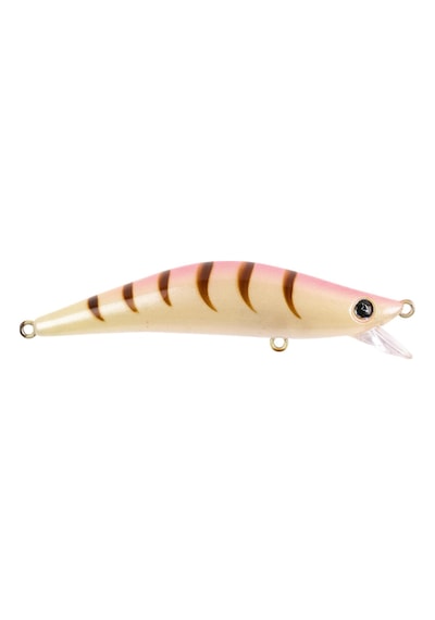 Hanfish Lokman Lm204 - Special Shrimp