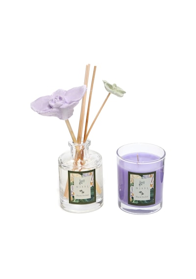 Black Orchid Oda Kokusu Ve Vegan Mum Hediye Seti