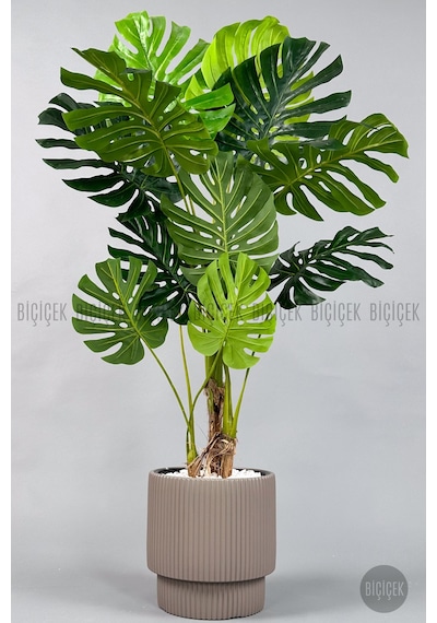 Biçiçek Yapay Monstera Ağacı Deve Tabani 160 Cm Mocha Vega Saksıda