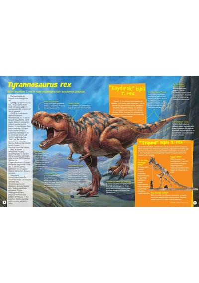Dinozor Sevenler Için Hidden Pictures 523132913