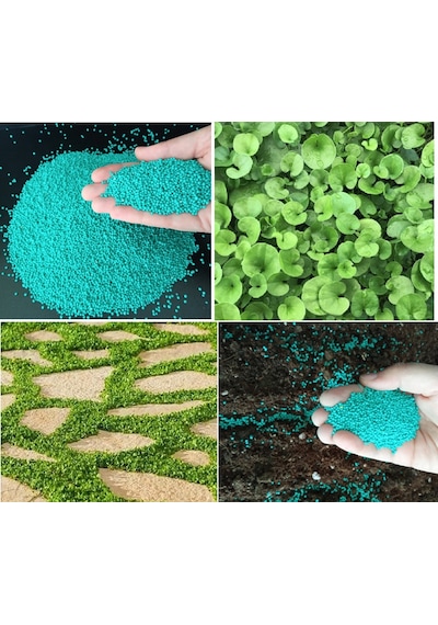 Fare Kulağı Tohumu 500 GR Dichondra Repens Fare Kulağı Çim Tohumu