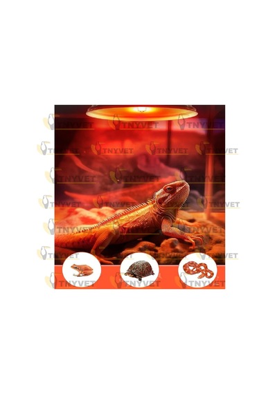 Ayrex 100 Watt Kızılötesi/kırmızı Işık Isıtıcı Lambalar Sürüngenler, Amfibiler Ve Kuşlar Için