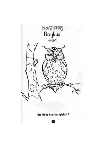 Boyama Zamanı: Bilmeceli Boyama- Parıltı Yayınları