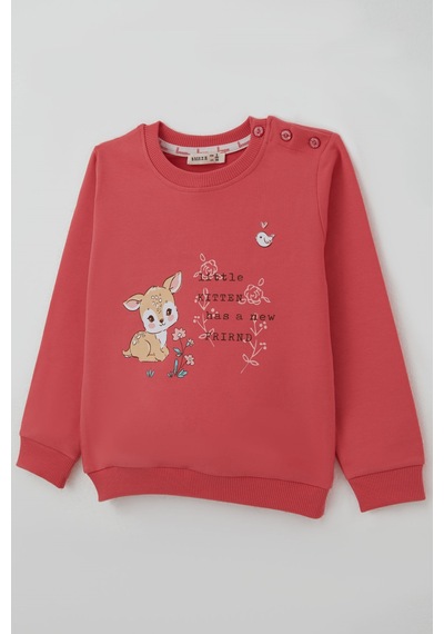 Breeze Kız Çocuk Sweatshirt Dostluk Temalı Sevimli Hayvancıklar Baskılı 1.5-5 Yaş , Mercan Breeze Kız Çocuk Sweatshirt Dostluk Temalı Sevimli Hayvancıklar Baskılı 1.5-5 Yaş , Mercan
