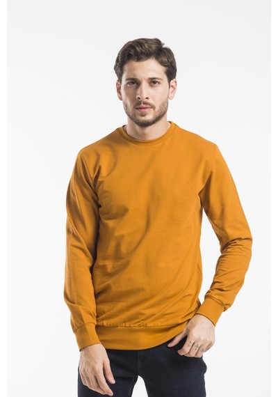 Erkek Bisiklet Yaka Regular Fit Sweatshirt Spr 20k30 001