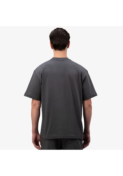 Everlast Authentic Boxing 2.0 Comfort Fit Gri Erkek T-shirt Tm0158 Çok Renkli