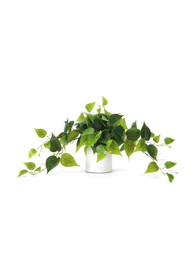 Saksıda Sarmaşık Sarı Yeşil Oval Yapraklı Sarmaşık Yapay Çiçek Beyaz Saksıda