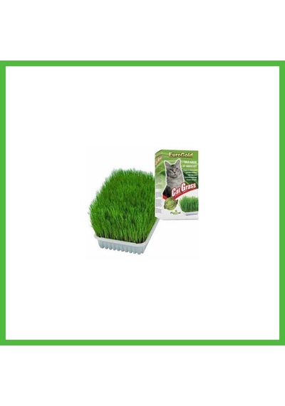 Vaveni Cat Grass Kedi Çimi Arz