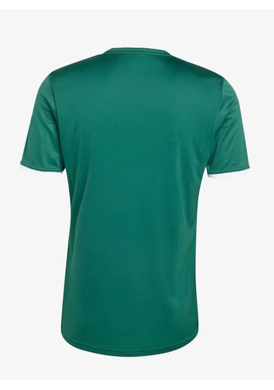 Adidas Ke9832 Entrada26 Jersey Erkek Forma Yeşil